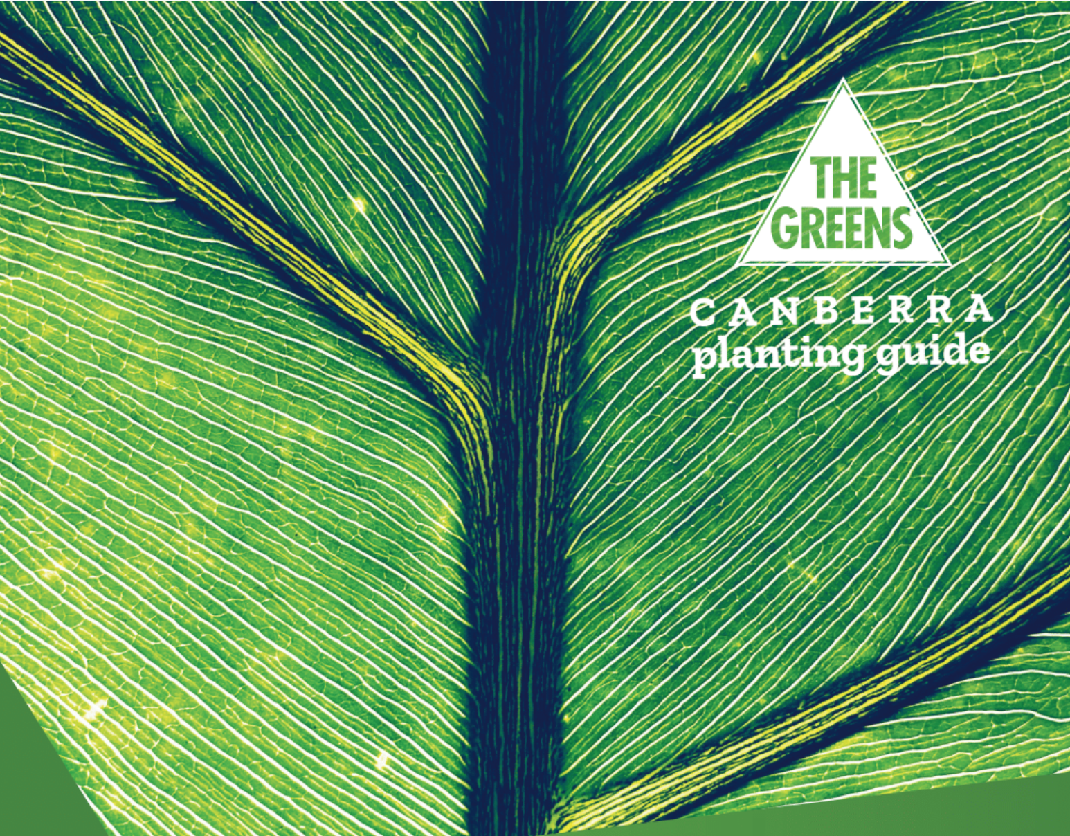 Download your free Canberra planting guide Mirage News